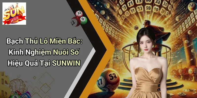 Bạch Thủ Lô Miền Bắc: Kinh Nghiệm Nuôi Số Hiệu Quả Tại SUNWIN