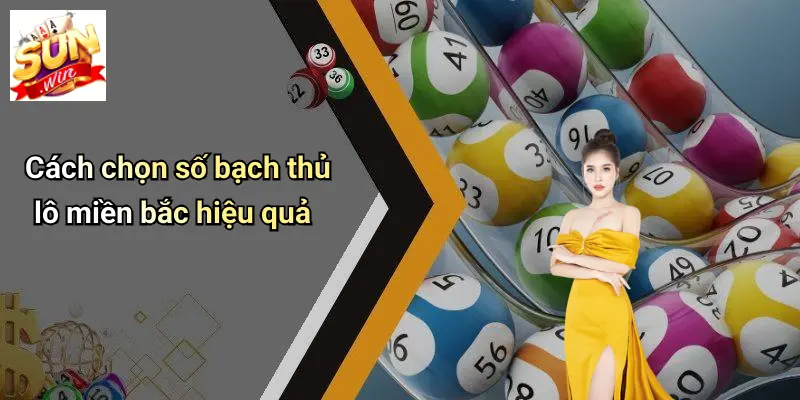 Cách chọn số bạch thủ lô miền bắc hiệu quả