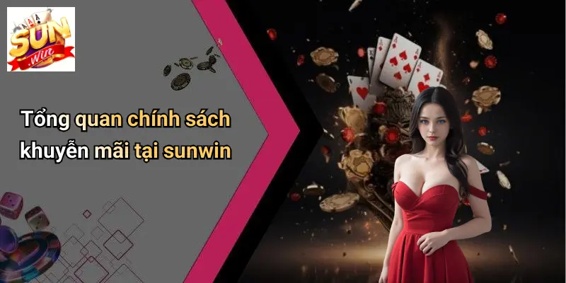 Tổng quan chính sách khuyễn mãi tại sunwin